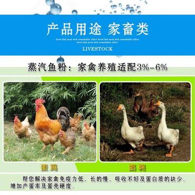 飼料用進(jìn)口秘魯蒸汽日本級(jí)魚粉促進(jìn)養(yǎng)殖營(yíng)養(yǎng)吸收