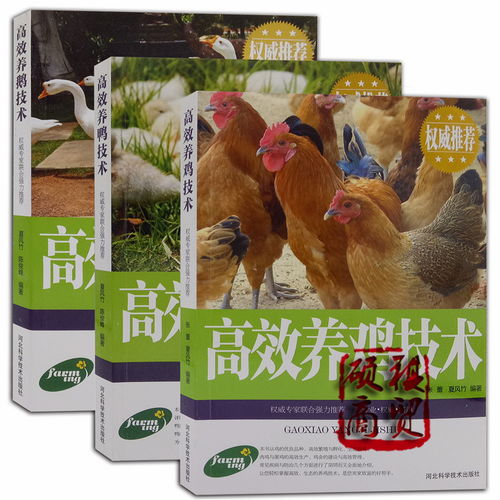 高效養(yǎng)雞技術(shù)高效養(yǎng)鴨技術(shù)高效養(yǎng)鵝技術(shù)科學(xué)養(yǎng)殖生態(tài)飼養(yǎng)家禽書籍