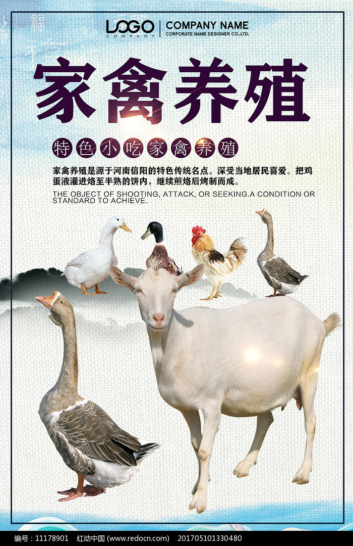 家禽生態(tài)養(yǎng)殖海報(bào)