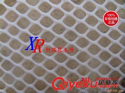 塑料網(wǎng) 批發(fā)家禽網(wǎng) 養(yǎng)殖網(wǎng) 養(yǎng)雞網(wǎng) 攔雞網(wǎng) 尼龍網(wǎng) 塑料網(wǎng) 防鳥網(wǎng)漁網(wǎng)圍網(wǎng)-沭陽縣新河鎮(zhèn)軒瑞花木場(chǎng)提供塑料網(wǎng) 批發(fā)家禽網(wǎng) 養(yǎng)殖網(wǎng) 養(yǎng)雞網(wǎng) 攔雞網(wǎng) 尼龍網(wǎng) 塑料網(wǎng) 防鳥網(wǎng)漁網(wǎng)圍網(wǎng)的相關(guān)介紹、產(chǎn)品、服務(wù)、圖片、價(jià)格沭陽縣新河鎮(zhèn)軒瑞花木場(chǎng)、綠化苗;果樹苗;種子;盆栽;園藝用品;花盆;水生植物;牧草種子