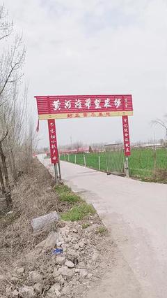 家禽養(yǎng)殖養(yǎng)鵝常見問題