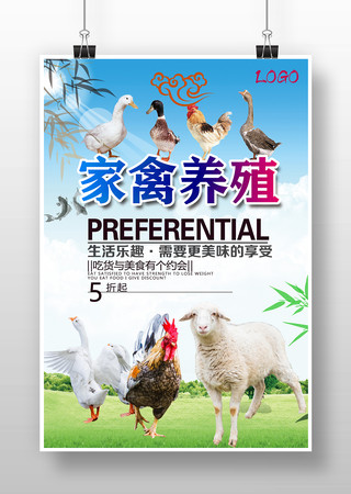 家禽養(yǎng)殖海報(bào)