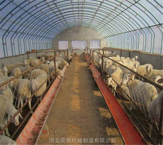 【搭建家禽養(yǎng)殖大棚 薄膜溫室養(yǎng)豬大棚 保溫大棚】批發(fā)_廠家-中貿(mào)銳豐